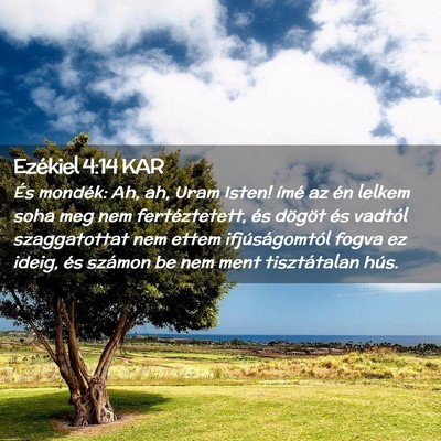 Picture 02 - Ezékiel 4:14 KAR - És mondék: Ah, ah, Uram Isten! ímé az én - Bible Verse Picture
