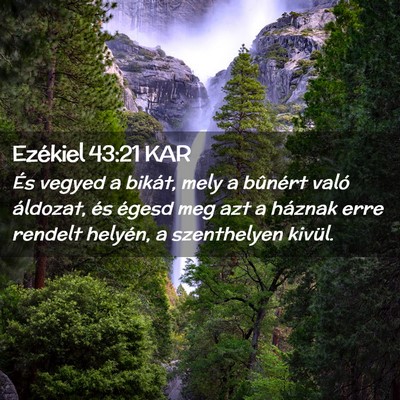 Picture 02 - Ezékiel 43:21 KAR - És vegyed a bikát, mely a bûnért való - Bible Verse Picture