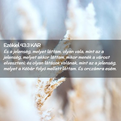Picture 02 - Ezékiel 43:3 KAR - És a jelenség, melyet láttam, olyan vala, mint - Bible Verse Picture