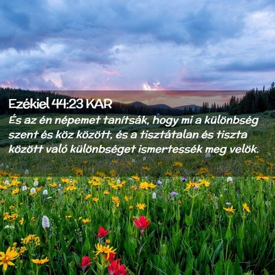 Picture 02 - Ezékiel 44:23 KAR - És az én népemet tanítsák, hogy mi a - Bible Verse Picture