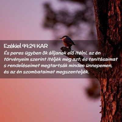Picture 02 - Ezékiel 44:24 KAR - És peres ügyben õk álljanak elõ ítélni, az - Bible Verse Picture