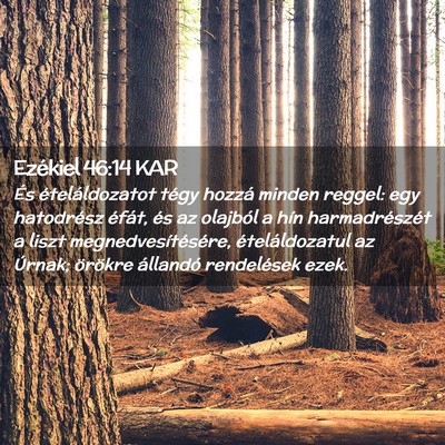 Picture 02 - Ezékiel 46:14 KAR - És ételáldozatot tégy hozzá minden reggel: - Bible Verse Picture