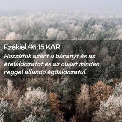 Picture 02 - Ezékiel 46:15 KAR - Hozzátok azért a bárányt és az - Bible Verse Picture
