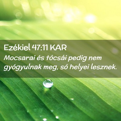 Picture 02 - Ezékiel 47:11 KAR - Mocsarai és tócsái pedig nem gyógyulnak meg, - Bible Verse Picture