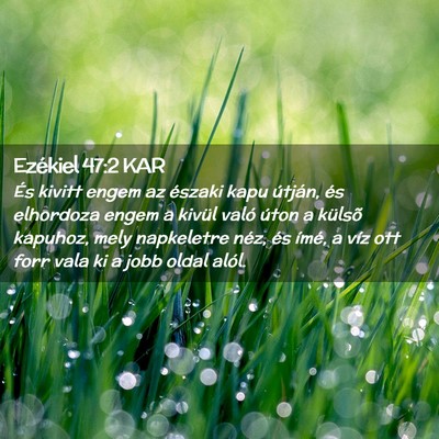 Picture 02 - Ezékiel 47:2 KAR - És kivitt engem az északi kapu útján, és - Bible Verse Picture