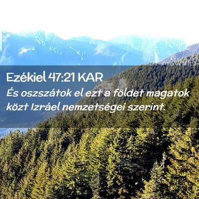 Picture 02 - Ezékiel 47:21 KAR - És oszszátok el ezt a földet magatok közt - Bible Verse Picture