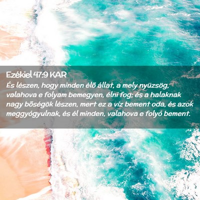 Picture 02 - Ezékiel 47:9 KAR - És lészen, hogy minden élõ állat, a mely - Bible Verse Picture