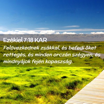 Picture 02 - Ezékiel 7:18 KAR - Felövezkednek zsákkal, és befedi õket - Bible Verse Picture