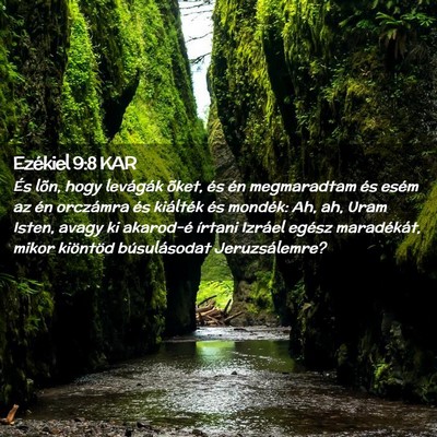 Picture 02 - Ezékiel 9:8 KAR - És lõn, hogy levágák õket, és én - Bible Verse Picture