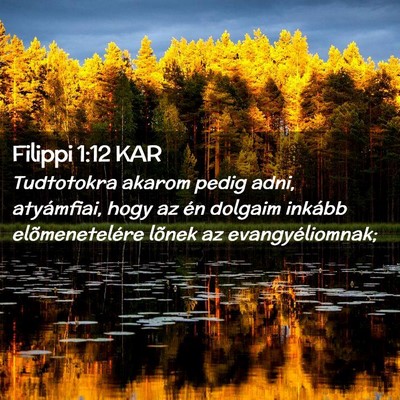 Picture 02 - Filippi 1:12 KAR - Tudtotokra akarom pedig adni, atyámfiai, hogy az - Bible Verse Picture