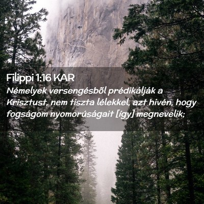 Picture 02 - Filippi 1:16 KAR - Némelyek versengésbõl prédikálják a - Bible Verse Picture