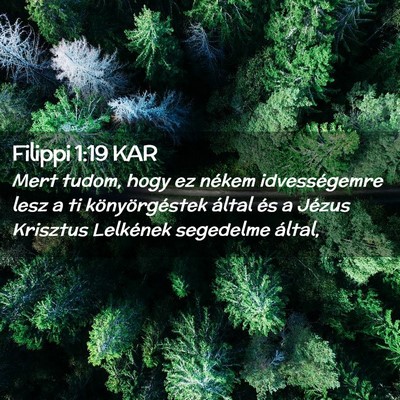 Picture 02 - Filippi 1:19 KAR - Mert tudom, hogy ez nékem idvességemre lesz a - Bible Verse Picture