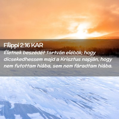 Picture 02 - Filippi 2:16 KAR - Életnek beszédét tartván elébök; hogy - Bible Verse Picture