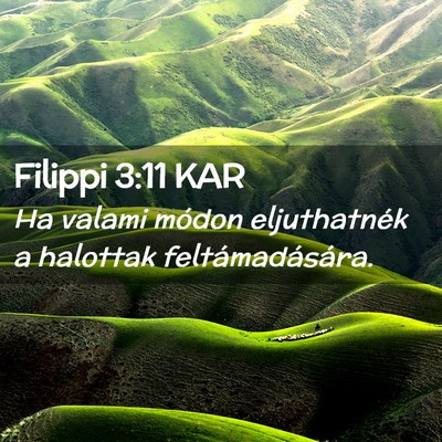 Picture 02 - Filippi 3:11 KAR - Ha valami módon eljuthatnék a halottak - Bible Verse Picture