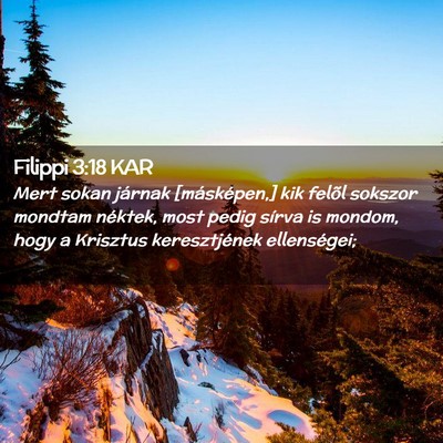 Picture 02 - Filippi 3:18 KAR - Mert sokan járnak [másképen,] kik felõl - Bible Verse Picture