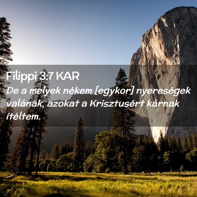 Picture 02 - Filippi 3:7 KAR - De a melyek nékem [egykor] nyereségek valának, - Bible Verse Picture