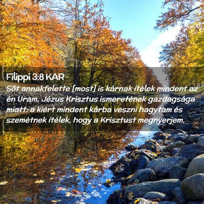 Picture 02 - Filippi 3:8 KAR - Sõt annakfelette [most] is kárnak ítélek - Bible Verse Picture