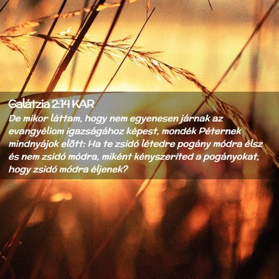 Picture 02 - Galátzia 2:14 KAR - De mikor láttam, hogy nem egyenesen járnak az - Bible Verse Picture