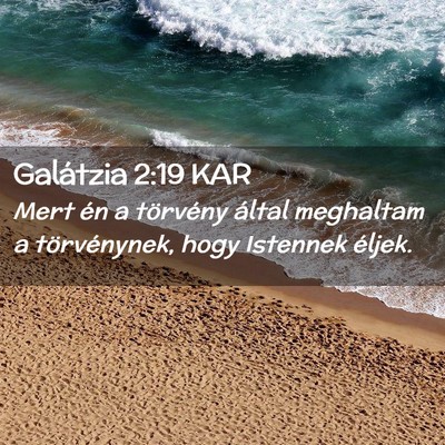 Picture 02 - Galátzia 2:19 KAR - Mert én a törvény által meghaltam a - Bible Verse Picture