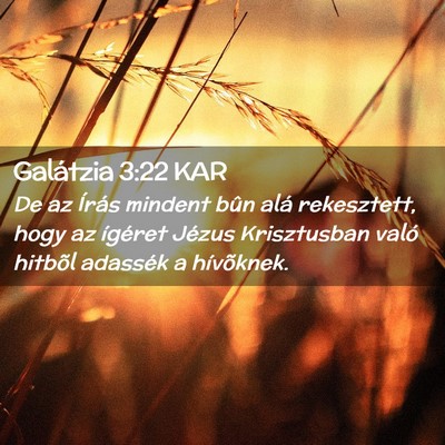 Picture 02 - Galátzia 3:22 KAR - De az Írás mindent bûn alá rekesztett, hogy - Bible Verse Picture