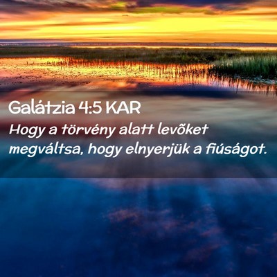 Picture 02 - Galátzia 4:5 KAR - Hogy a törvény alatt levõket megváltsa, hogy - Bible Verse Picture