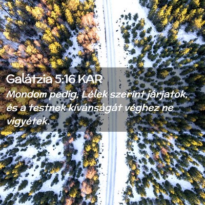 Picture 02 - Galátzia 5:16 KAR - Mondom pedig, Lélek szerint járjatok, és a - Bible Verse Picture