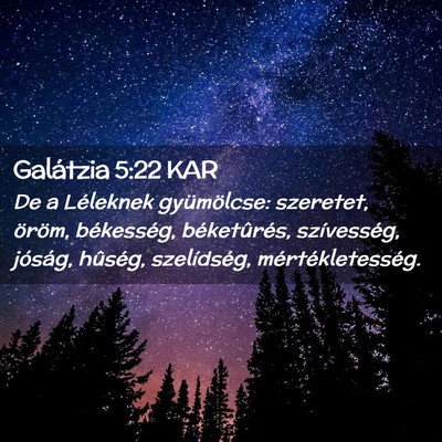 Picture 02 - Galátzia 5:22 KAR - De a Léleknek gyümölcse: szeretet, öröm, - Bible Verse Picture