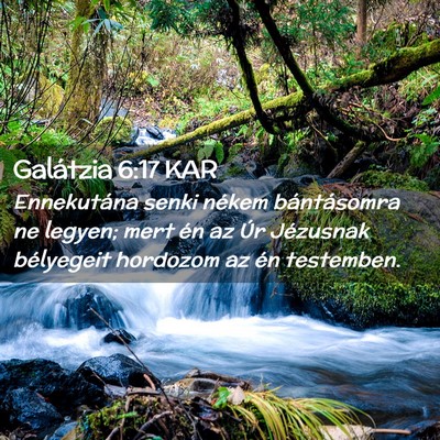 Picture 02 - Galátzia 6:17 KAR - Ennekutána senki nékem bántásomra ne legyen; - Bible Verse Picture