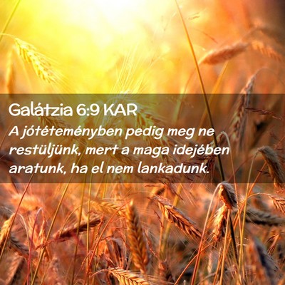 Picture 02 - Galátzia 6:9 KAR - A jótéteményben pedig meg ne restüljünk, - Bible Verse Picture