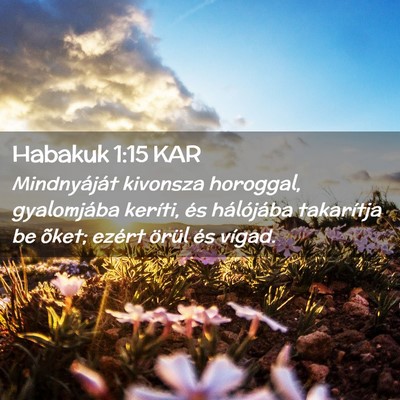 Picture 02 - Habakuk 1:15 KAR - Mindnyáját kivonsza horoggal, gyalomjába - Bible Verse Picture