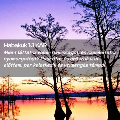 Picture 02 - Habakuk 1:3 KAR - Miért láttatsz velem hamisságot, és - Bible Verse Picture