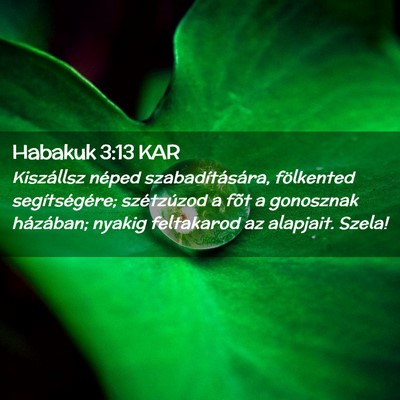 Picture 02 - Habakuk 3:13 KAR - Kiszállsz néped szabadítására, fölkented - Bible Verse Picture