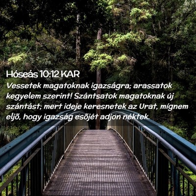 Picture 02 - Hóseás 10:12 KAR - Vessetek magatoknak igazságra; arassatok - Bible Verse Picture