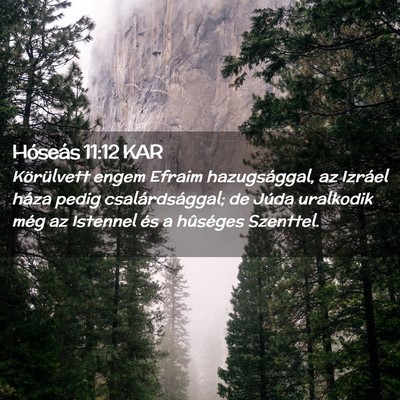 Picture 02 - Hóseás 11:12 KAR - Körülvett engem Efraim hazugsággal, az Izráel - Bible Verse Picture