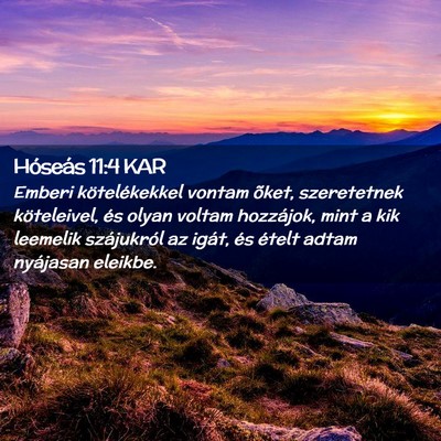 Picture 02 - Hóseás 11:4 KAR - Emberi kötelékekkel vontam õket, szeretetnek - Bible Verse Picture