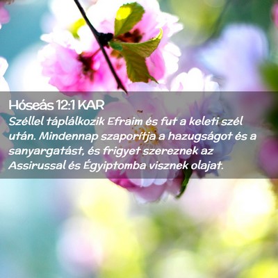 Picture 02 - Hóseás 12:1 KAR - Széllel táplálkozik Efraim és fut a keleti - Bible Verse Picture