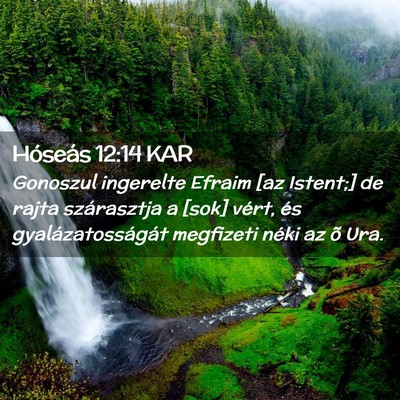 Picture 02 - Hóseás 12:14 KAR - Gonoszul ingerelte Efraim [az Istent;] de rajta - Bible Verse Picture