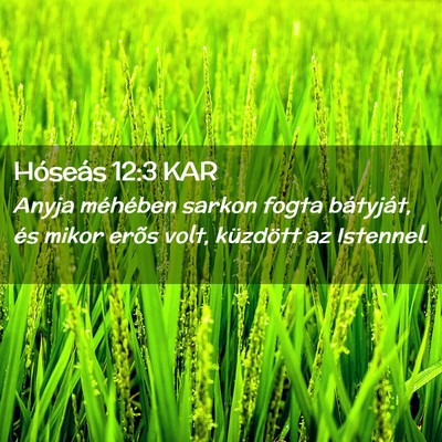 Picture 02 - Hóseás 12:3 KAR - Anyja méhében sarkon fogta bátyját, és mikor - Bible Verse Picture