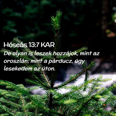 Picture 02 - Hóseás 13:7 KAR - De olyan is leszek hozzájok, mint az oroszlán; - Bible Verse Picture