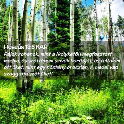 Picture 02 - Hóseás 13:8 KAR - Rájok rohanok, mint a [kölykétõl] megfosztott - Bible Verse Picture
