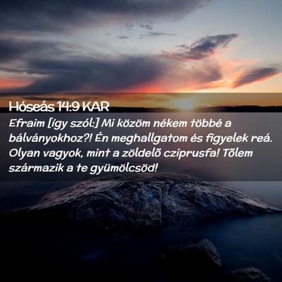 Picture 02 - Hóseás 14:9 KAR - Efraim [így szól:] Mi közöm nékem többé a - Bible Verse Picture