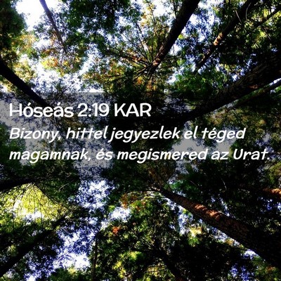 Picture 02 - Hóseás 2:19 KAR - Bizony, hittel jegyezlek el téged magamnak, és - Bible Verse Picture