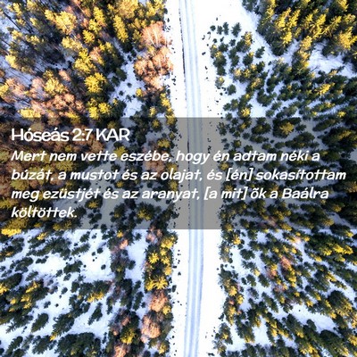 Picture 02 - Hóseás 2:7 KAR - Mert nem vette eszébe, hogy én adtam néki a - Bible Verse Picture