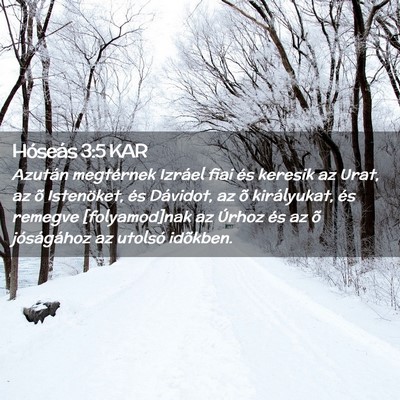 Picture 02 - Hóseás 3:5 KAR - Azután megtérnek Izráel fiai és keresik az - Bible Verse Picture