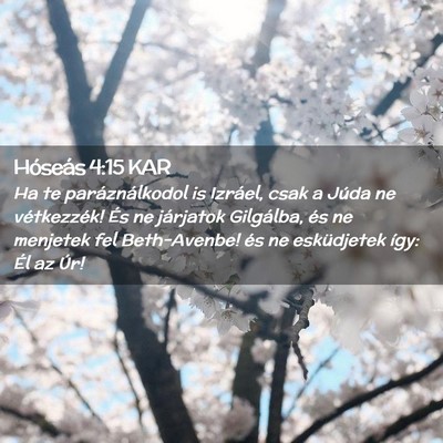 Picture 02 - Hóseás 4:15 KAR - Ha te paráználkodol is Izráel, csak a Júda ne - Bible Verse Picture