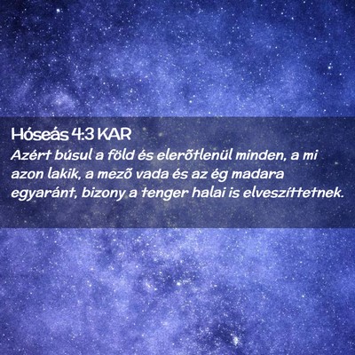 Picture 02 - Hóseás 4:3 KAR - Azért búsul a föld és elerõtlenül minden, a - Bible Verse Picture