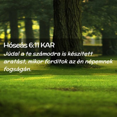 Picture 02 - Hóseás 6:11 KAR - Júda! a te számodra is készített aratást, - Bible Verse Picture