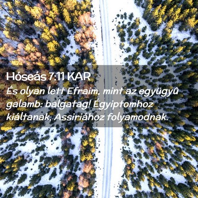 Picture 02 - Hóseás 7:11 KAR - És olyan lett Efraim, mint az együgyû galamb: - Bible Verse Picture
