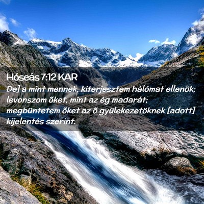 Picture 02 - Hóseás 7:12 KAR - De] a mint mennek, kiterjesztem hálómat - Bible Verse Picture