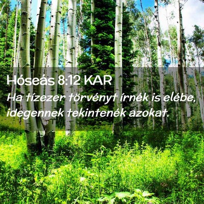 Picture 02 - Hóseás 8:12 KAR - Ha tízezer törvényt írnék is elébe, - Bible Verse Picture